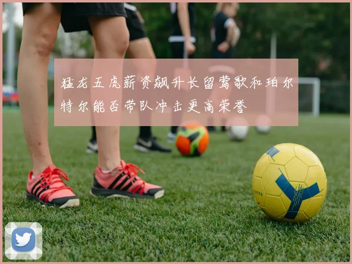 猛龙五虎薪资飙升长留莺歌和珀尔特尔能否带队冲击更高荣誉