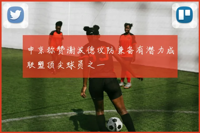 申京称赞谢泼德攻防兼备有潜力成联盟顶尖球员之一