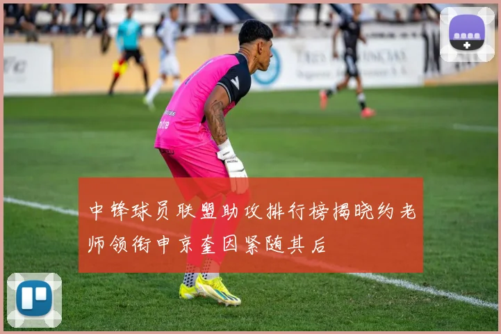 中锋球员联盟助攻排行榜揭晓约老师领衔申京奎因紧随其后