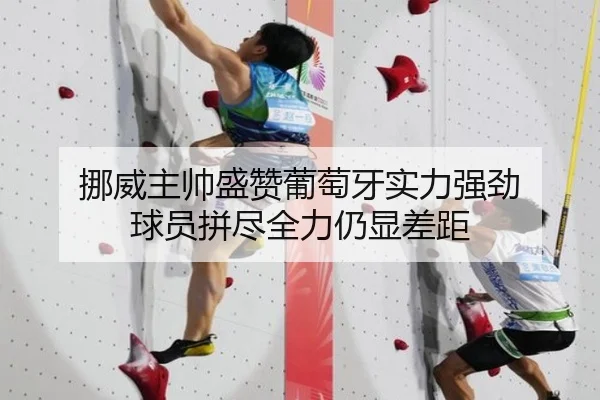 挪威主帅盛赞葡萄牙实力强劲 球员拼尽全力仍显差距 | BOYUSPORTS